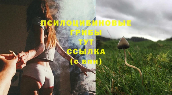 Альфа ПВП Армянск