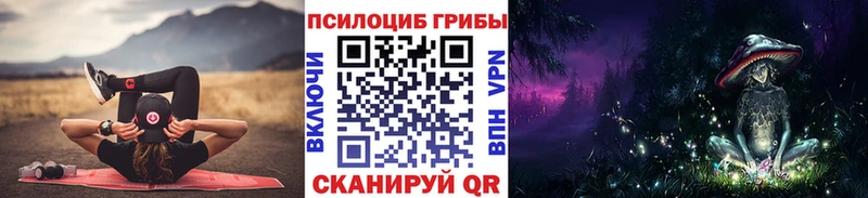 Псилоцибиновые грибы Psilocybine cubensis  Купить  Перевоз 